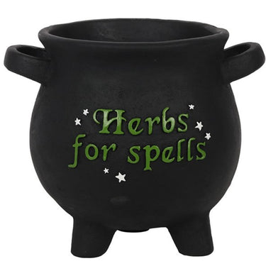 Herbs For Spells Cauldron Plant Pot